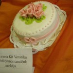 kép